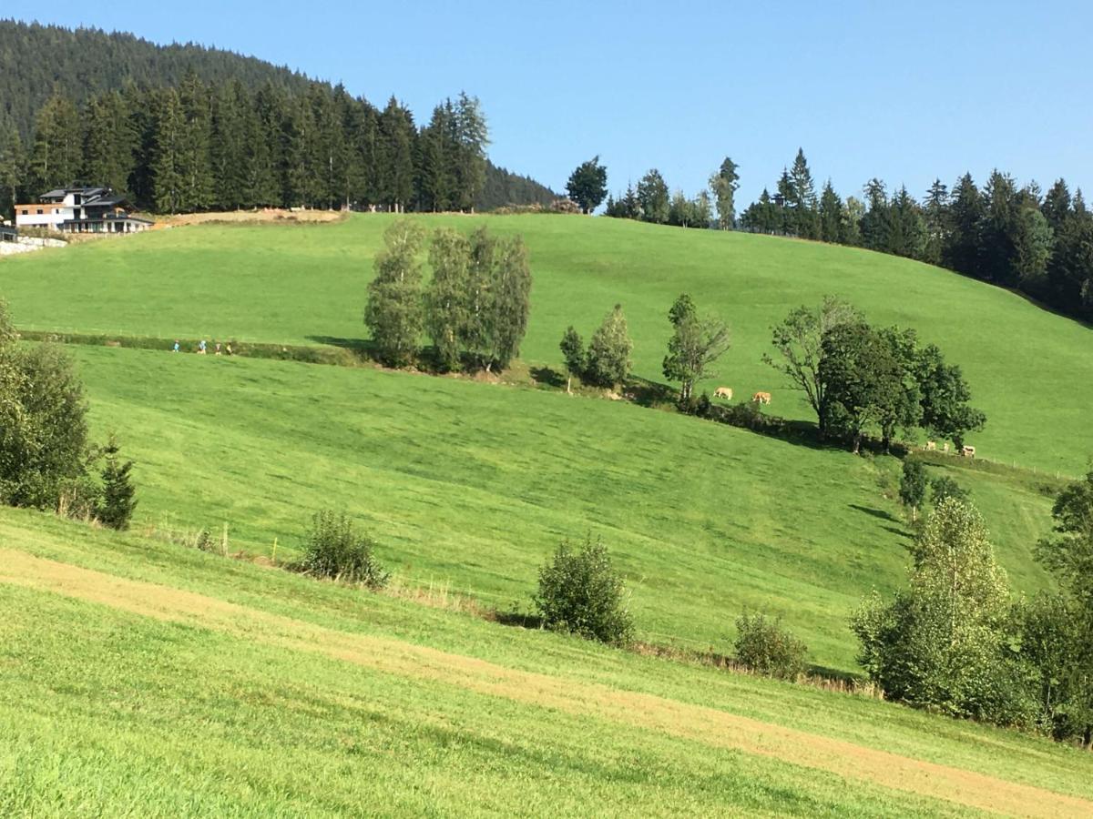 Apartamento Traumblick Dachstein Radstadt Exterior foto